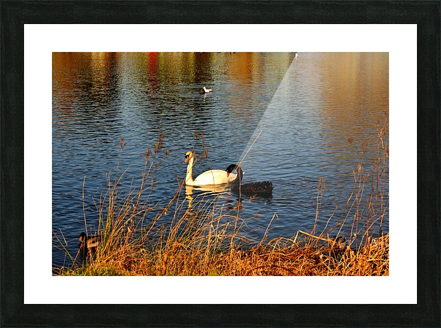 JPT_8829 2 Picture Frame print