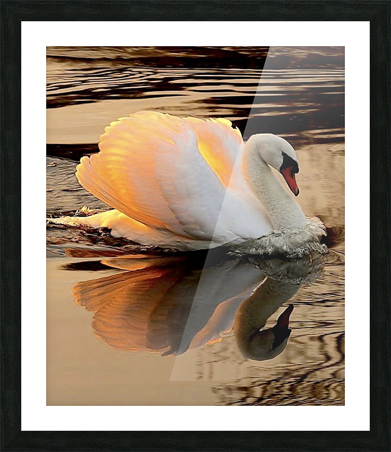 JPT 7891S Picture Frame print