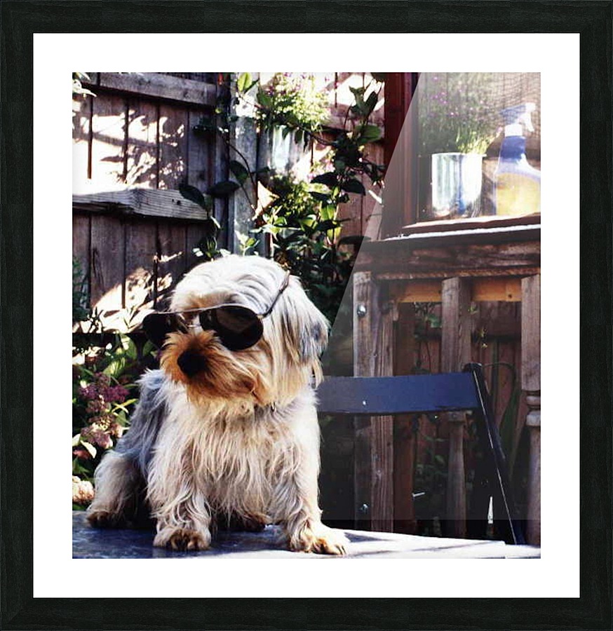 JPT 0901SS Picture Frame print