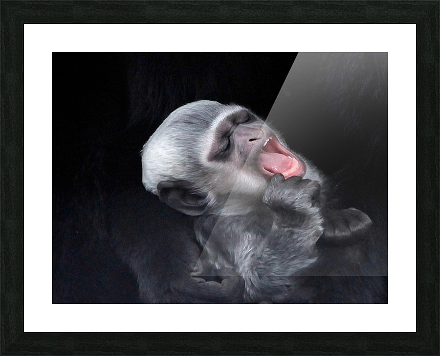 JPT 4100MT Picture Frame print