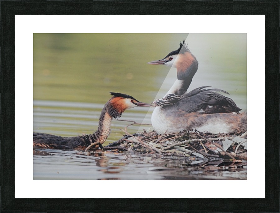 JPT 913LJ Picture Frame print