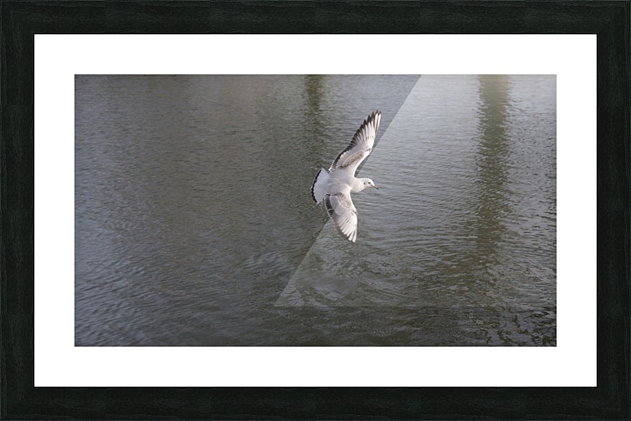 JPT 2215 Picture Frame print