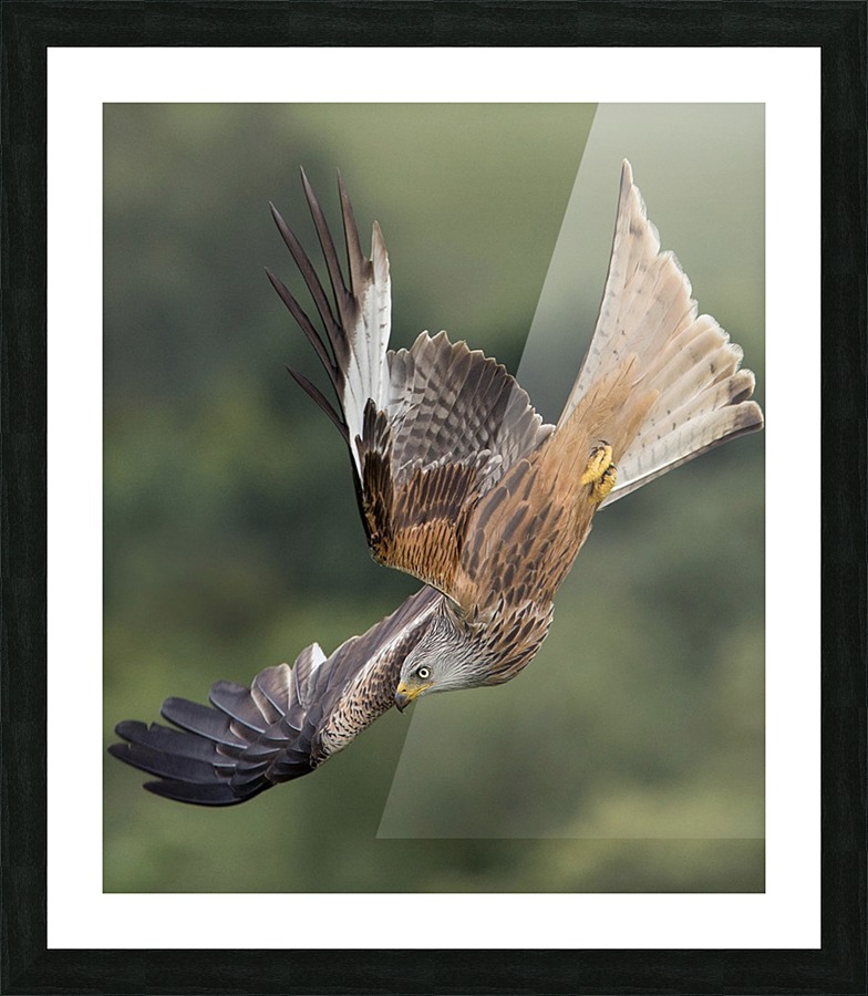 JPT 665RE Picture Frame print