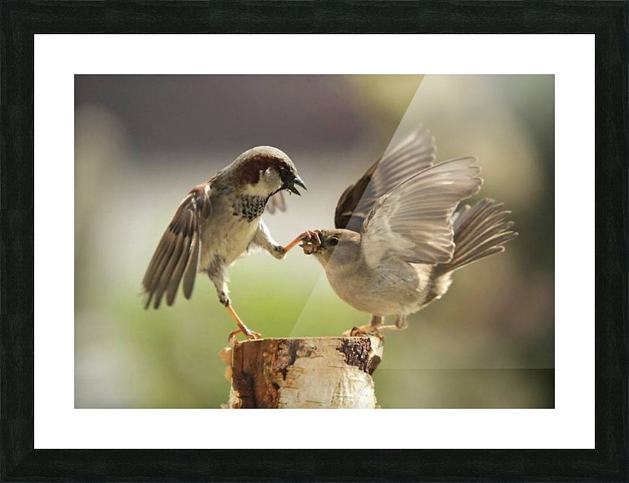 JPT 5591SA Picture Frame print