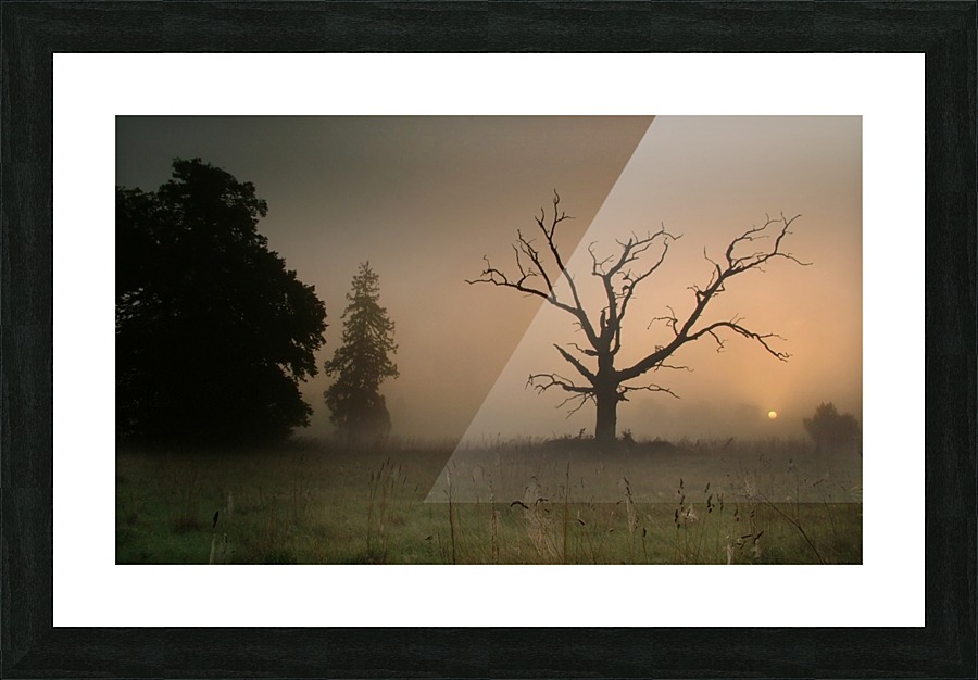 JPT00024 Picture Frame print