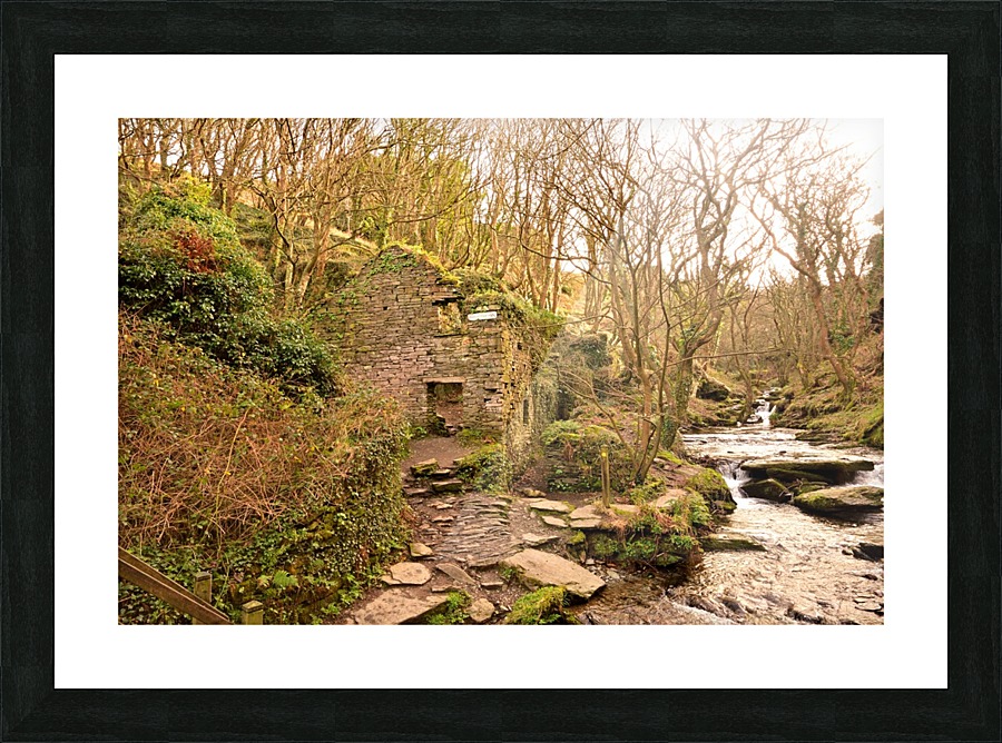 JPT_0995 Picture Frame print