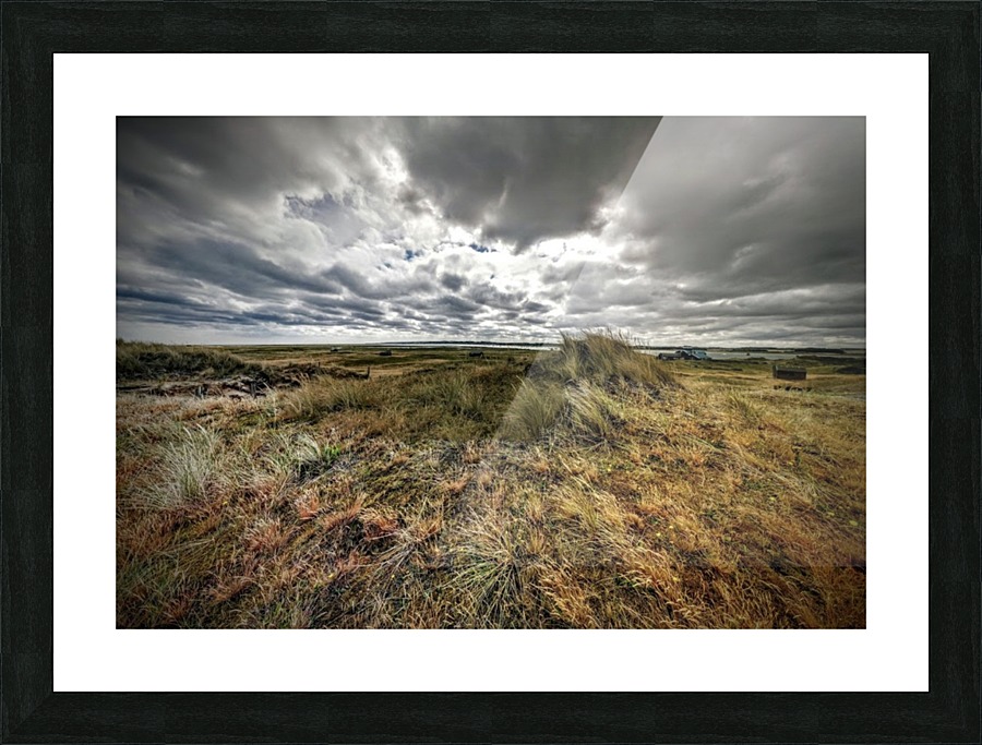 JPT 421l DS Picture Frame print