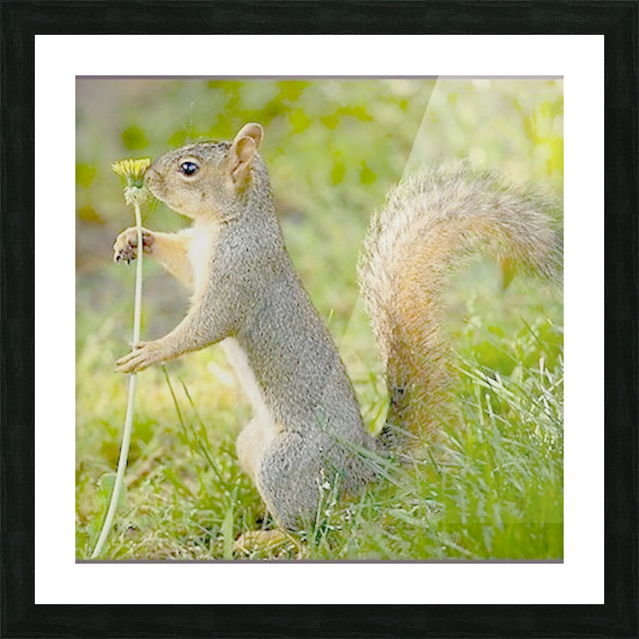 JPT 2130 Picture Frame print