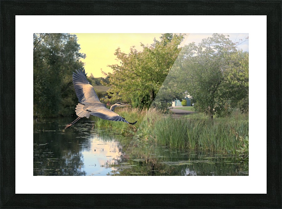 JPT H6197 Picture Frame print