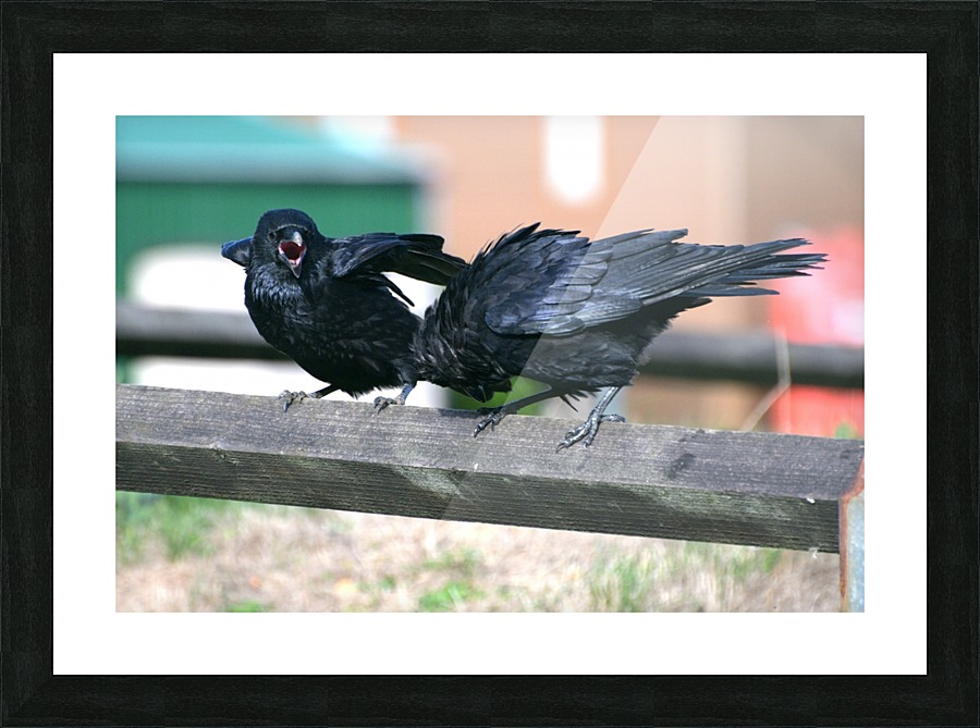 JPT_8065R Picture Frame print