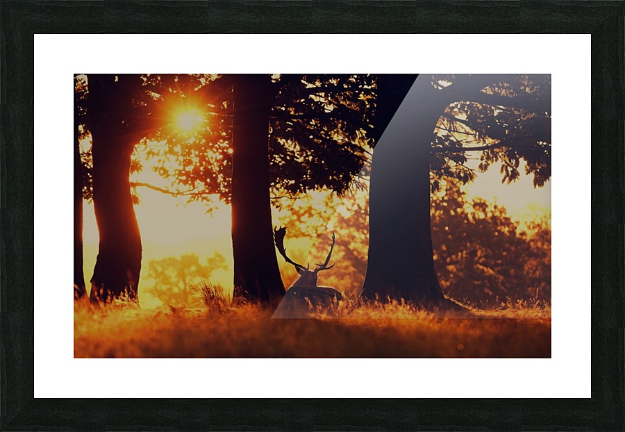 JPT 017BD Picture Frame print