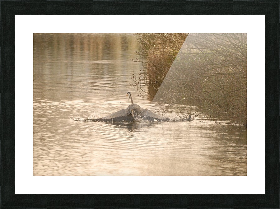 JPT_4526H Picture Frame print