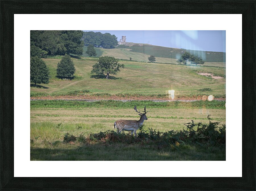 JCC 0190 2252 Picture Frame print