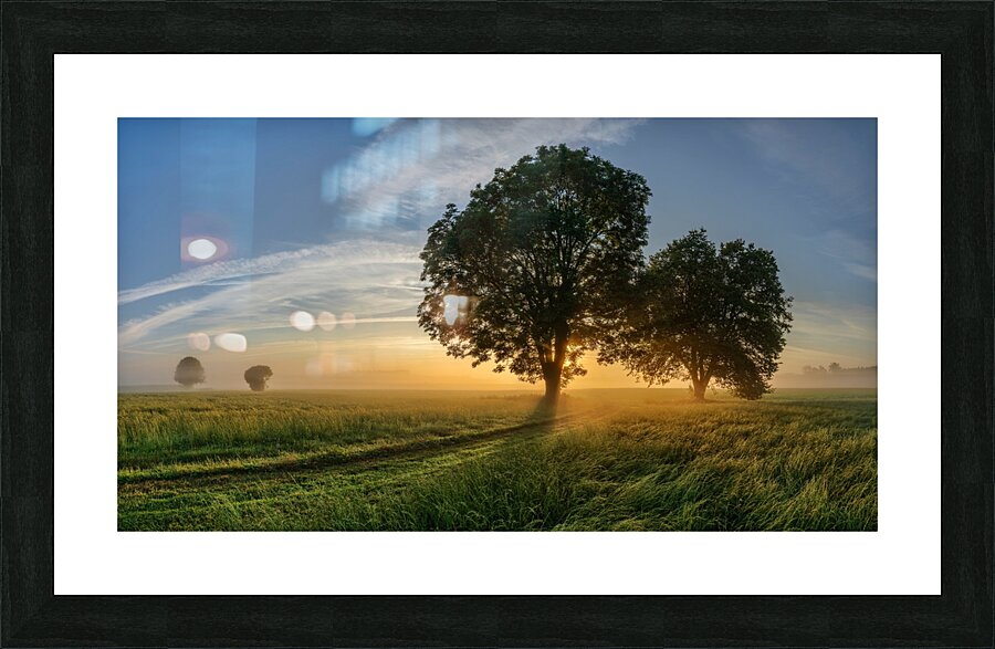 trees 321 Picture Frame print