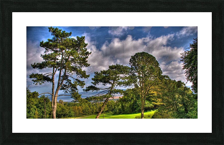 ttfe trees8 Picture Frame print