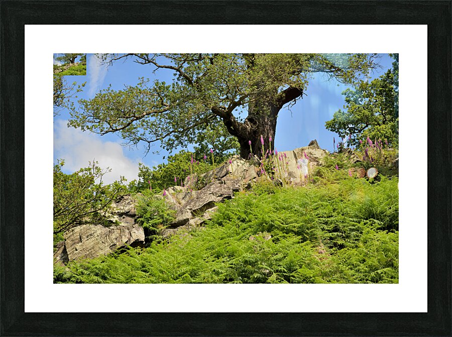JAM 0534 1 Picture Frame print