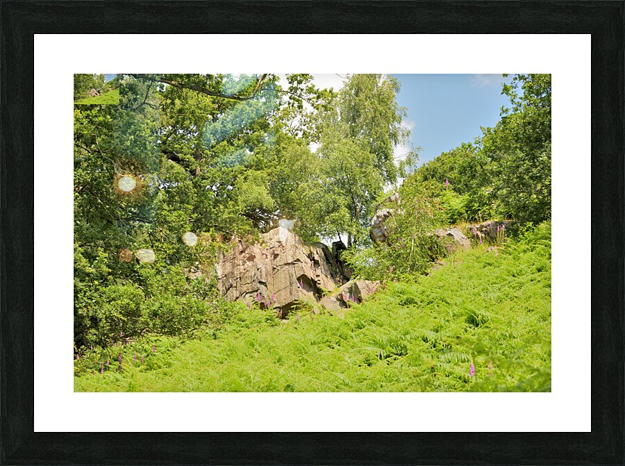 JAM 0530 Picture Frame print