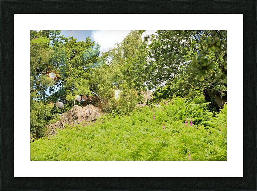 JAM 0532 1 Picture Frame print