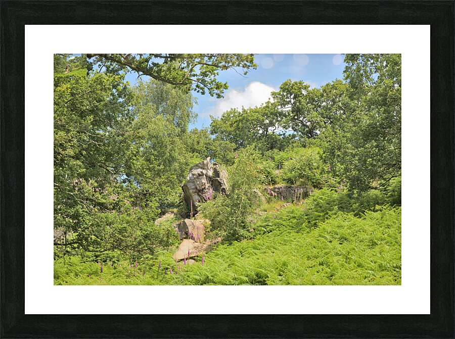 JAM 0529 1 Picture Frame print
