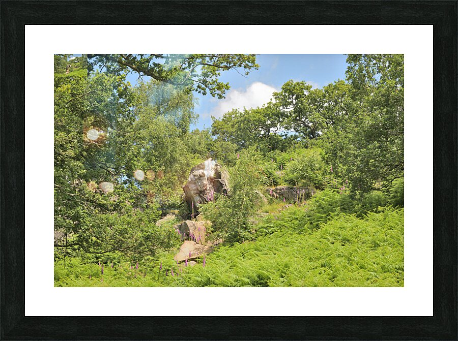 JAM 0529 1 Picture Frame print
