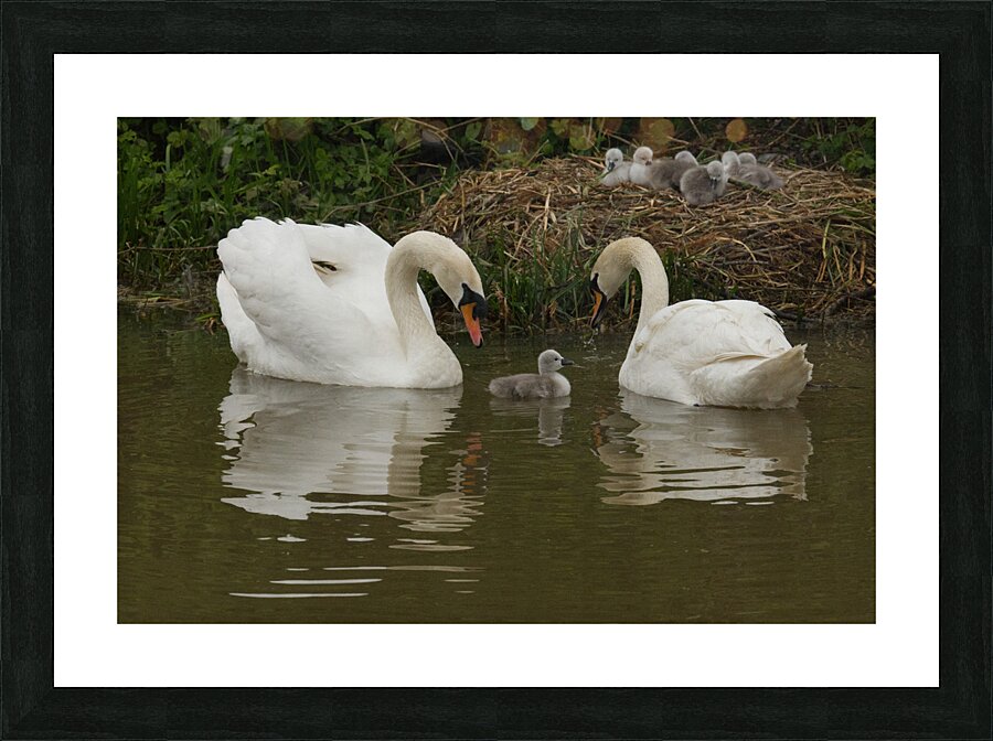 JCC 98188 Picture Frame print