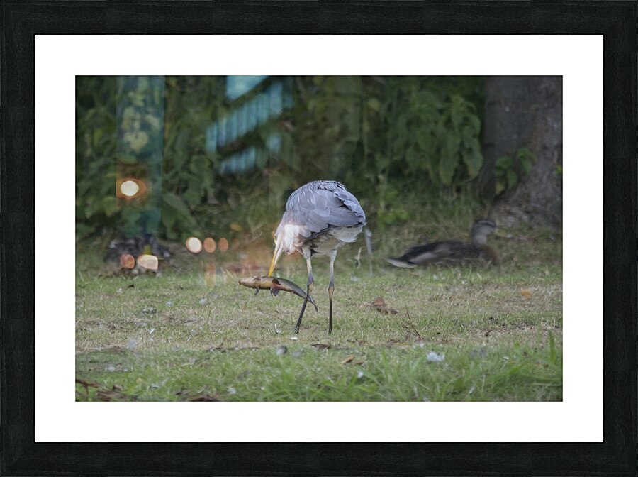  JPT8956 Picture Frame print