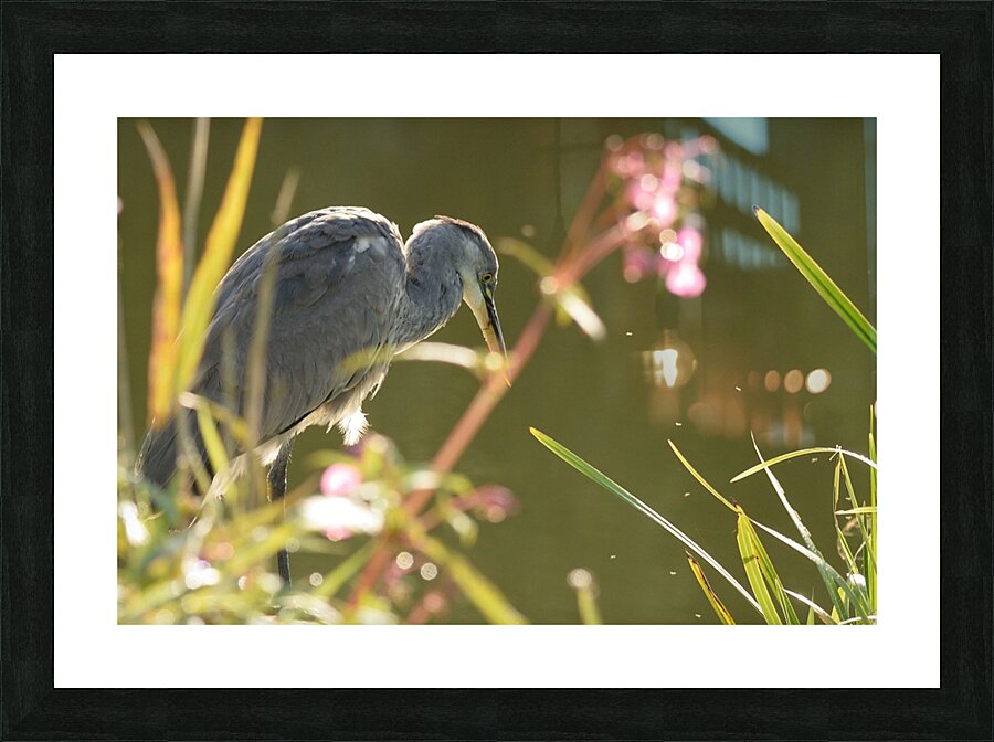 JPT  G5078 Picture Frame print