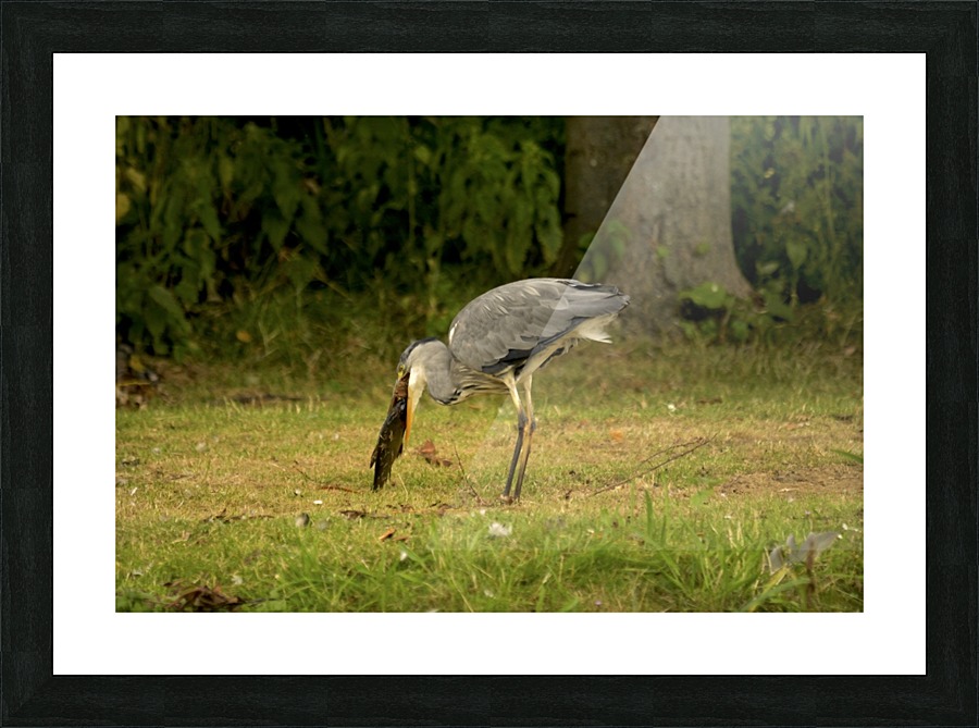 _JPT8962H Picture Frame print