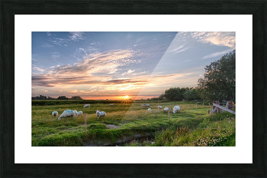 JPT 62119 Picture Frame print