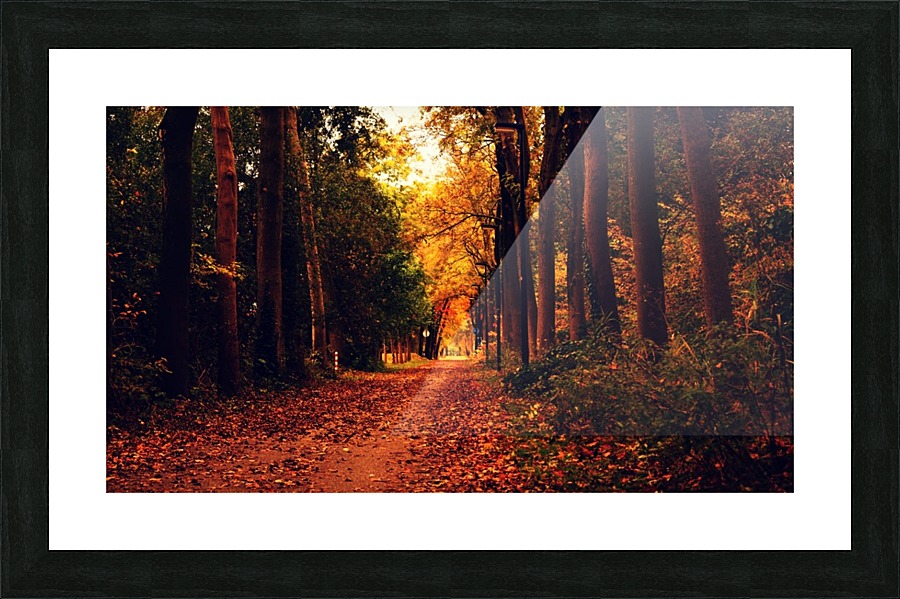 JPT 216798 Picture Frame print