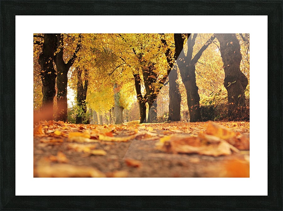 JPT 235721 Picture Frame print