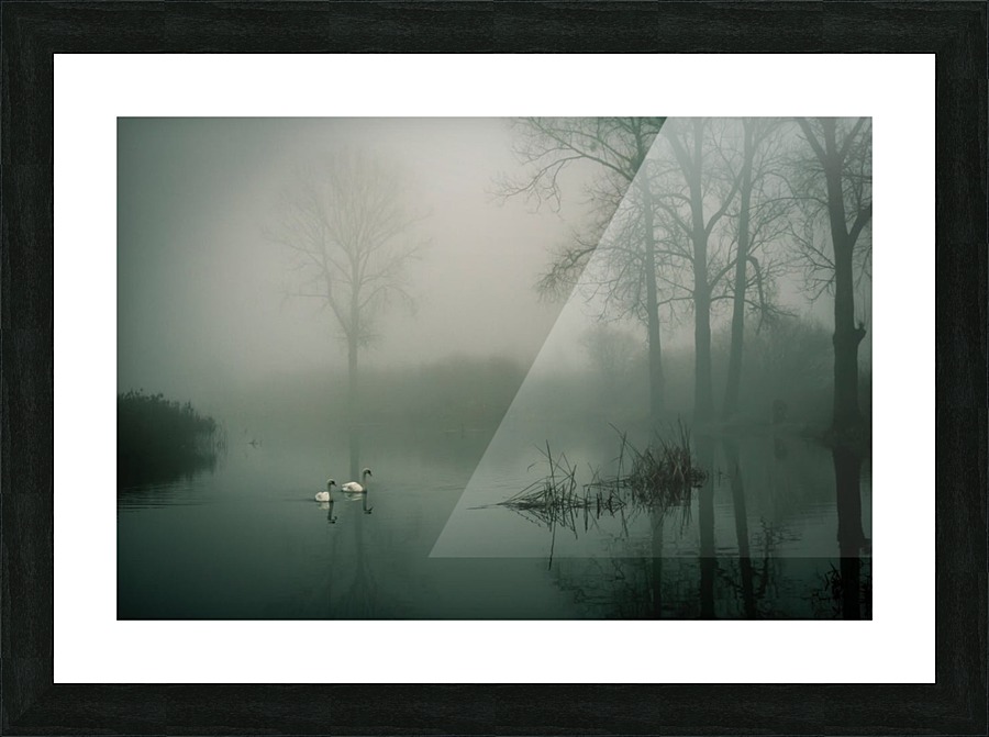 JPT 845619 Picture Frame print