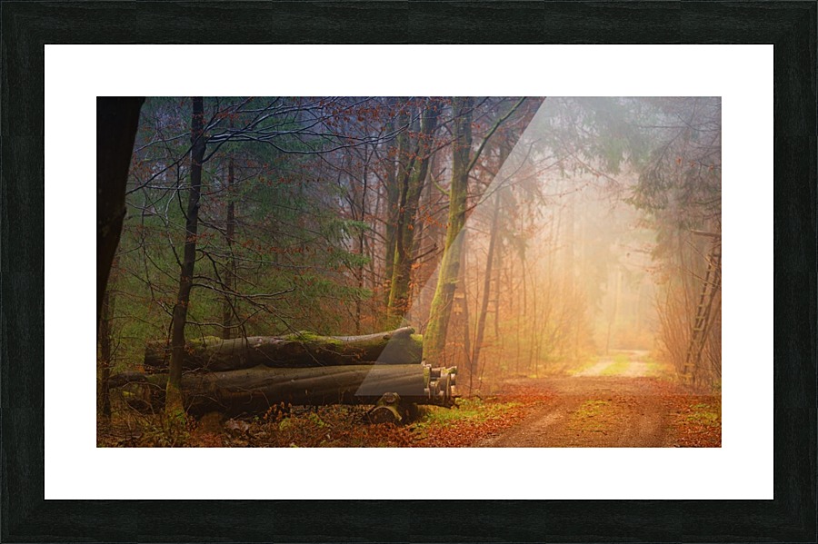 JPT 146707 Picture Frame print