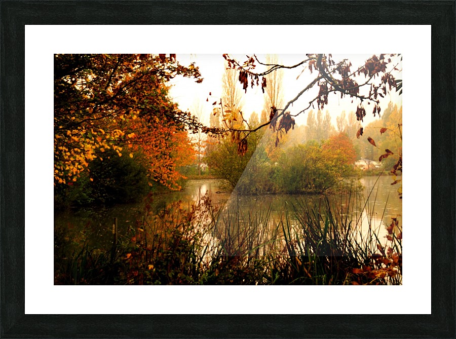 JPT_7707 Picture Frame print
