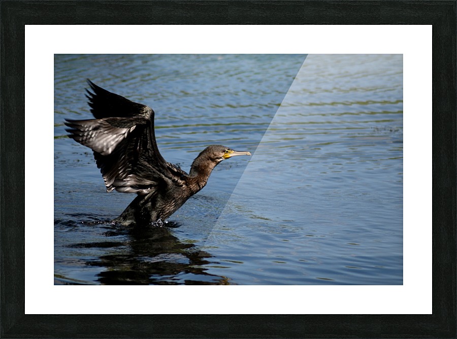 JPT_8295 Picture Frame print