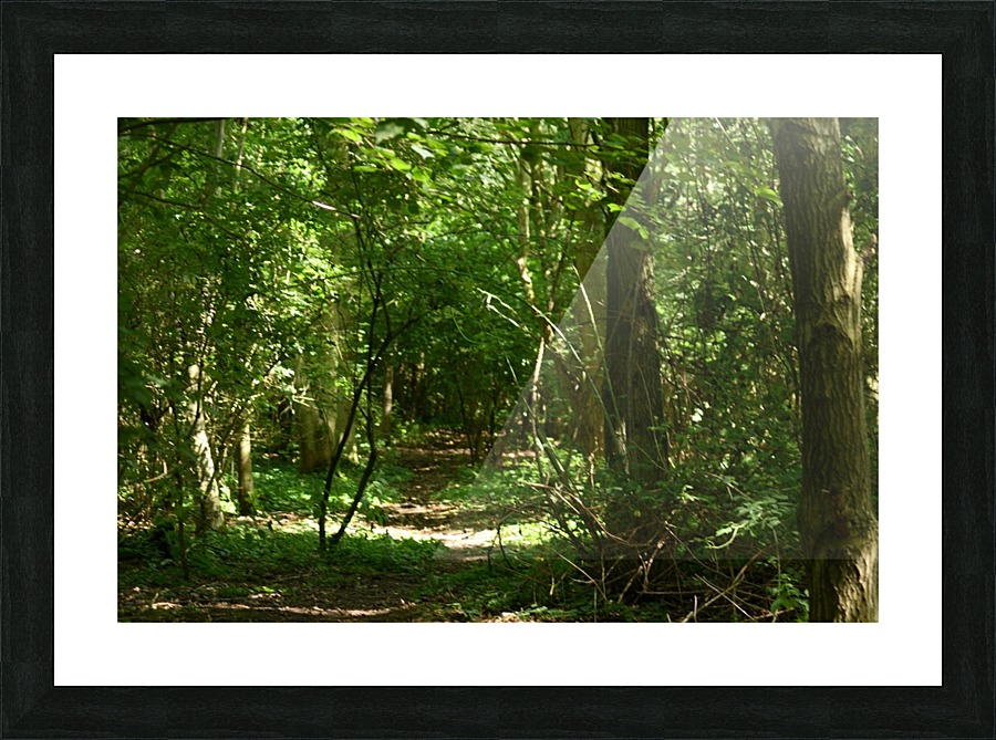 JPT_8258 Picture Frame print
