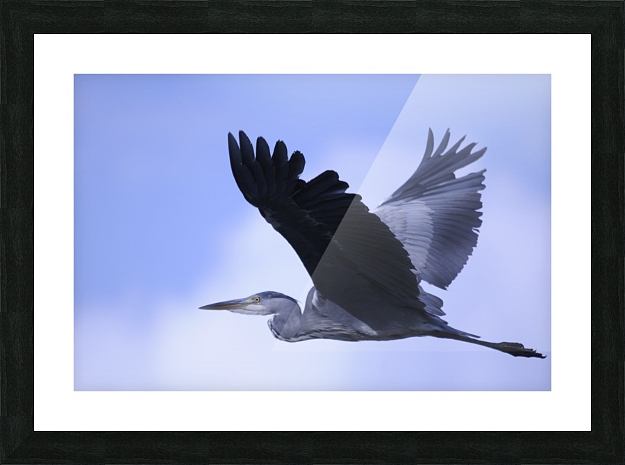 _JPT9011 Picture Frame print