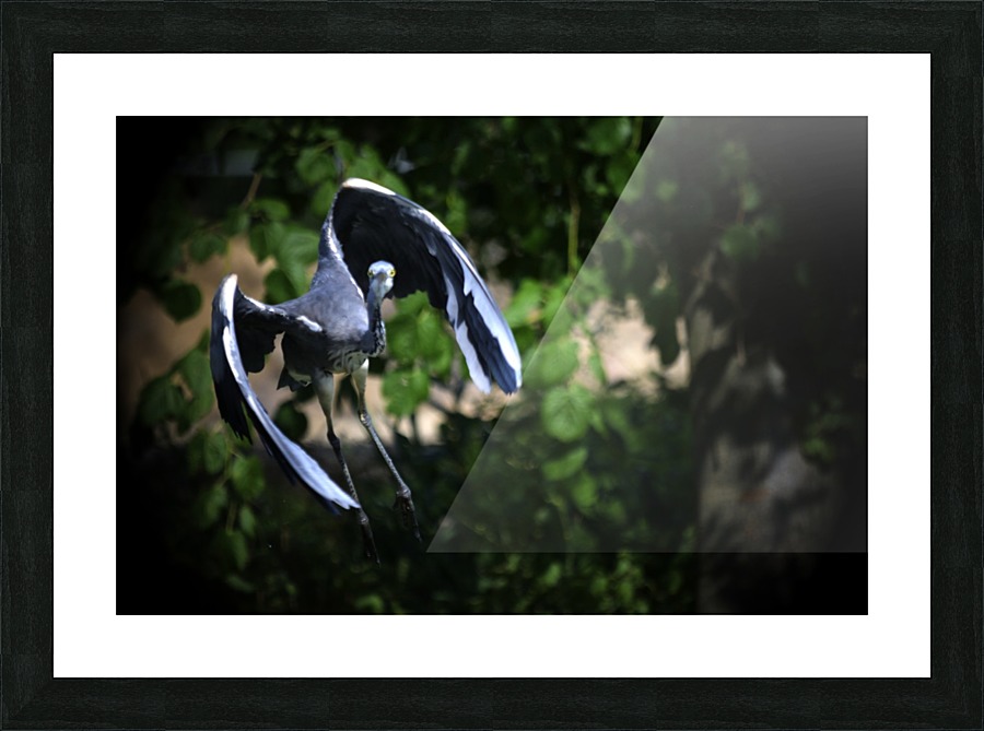 _JPT 9005H Picture Frame print