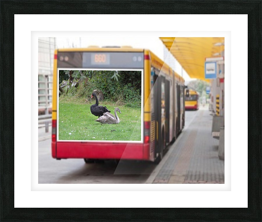 JPT 65 Picture Frame print