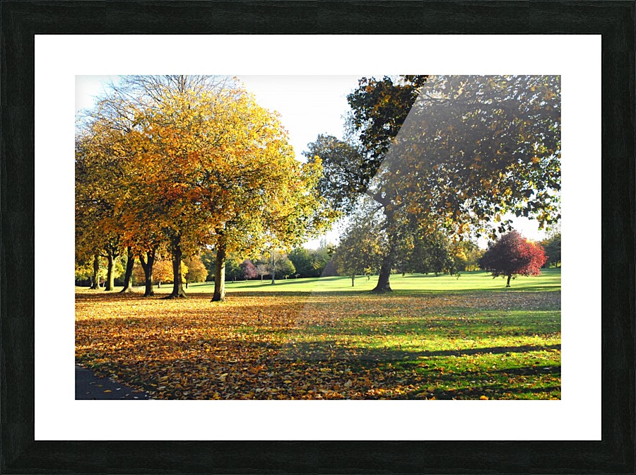JPT 44T Picture Frame print