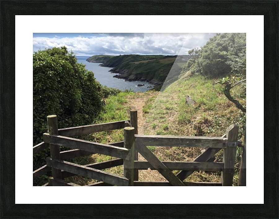 JPT1108 Picture Frame print
