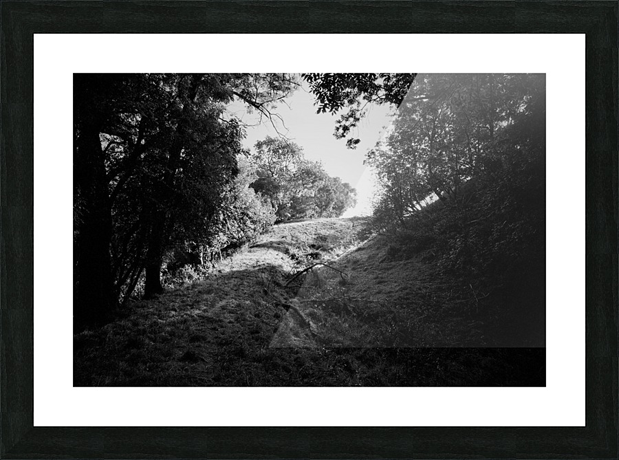 _JPT9115_01 Picture Frame print