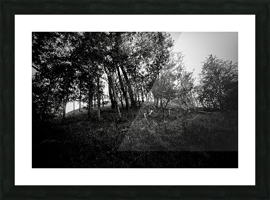 _JPT9114_01 Picture Frame print