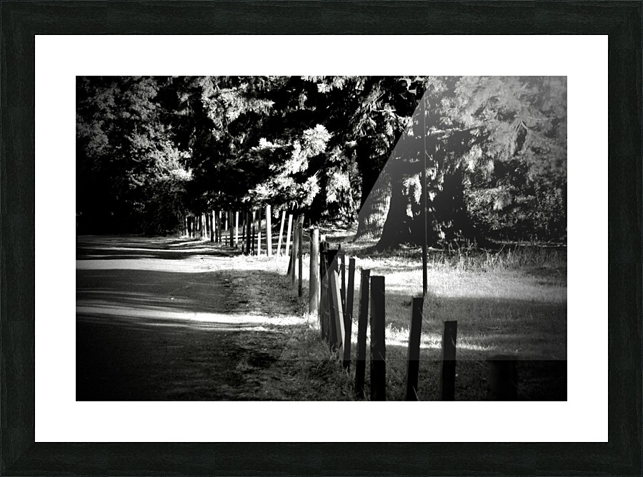 JPT_1528 Picture Frame print