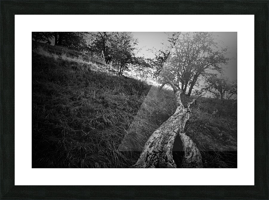 _JPT9103_01 Picture Frame print