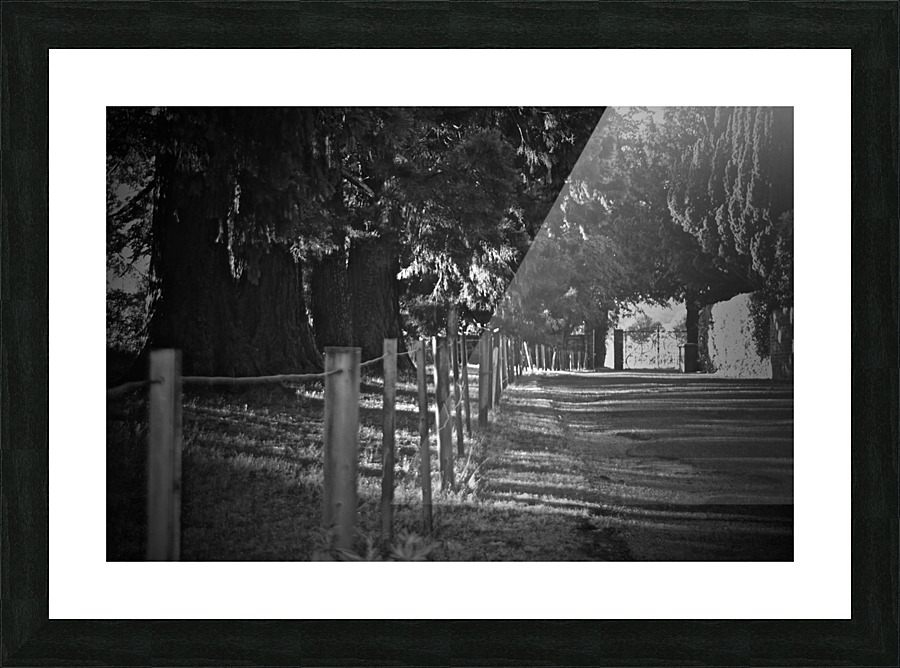 JPT_1500 Picture Frame print