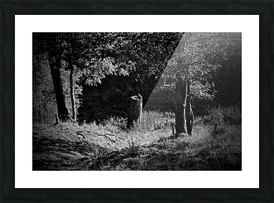 JPT_1512 Picture Frame print