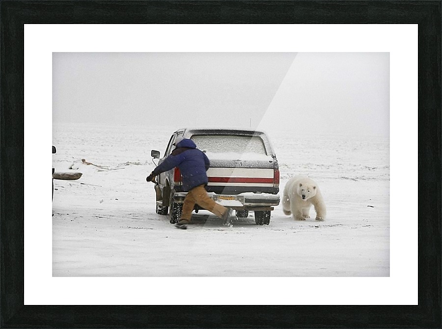 JPT 5420 Picture Frame print