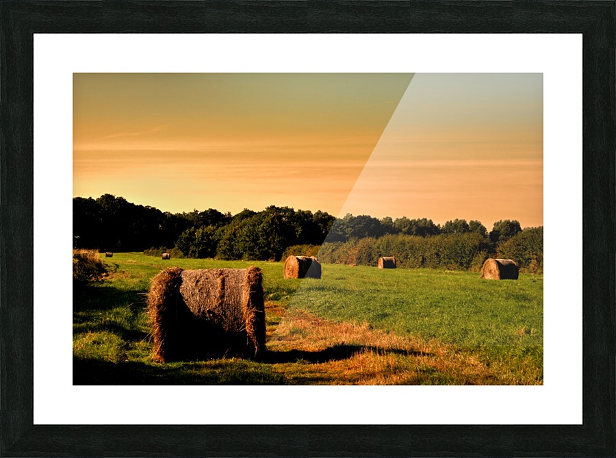 JPT_5097 Picture Frame print
