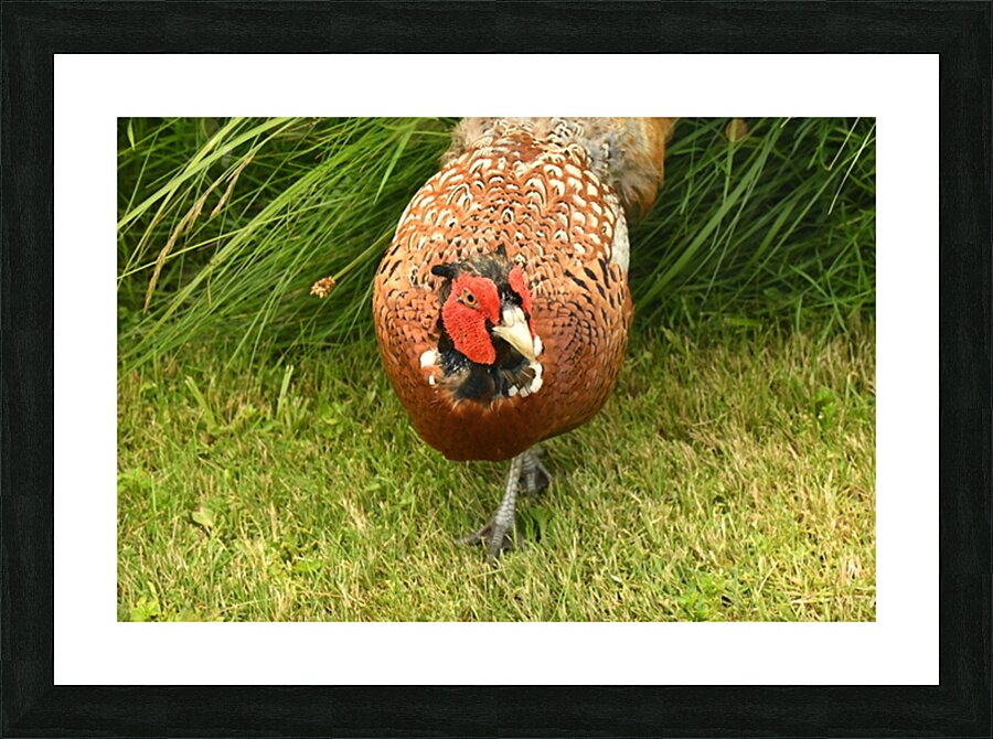 JCC 0671 Picture Frame print